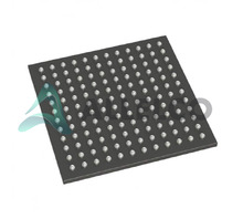APA300-FG144I Image