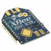 XBP9B-DPUT-001